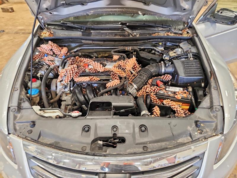 Photo 11 from auction – 2012 HONDA ACCORD with VIN 1HGCP2F72CA067918