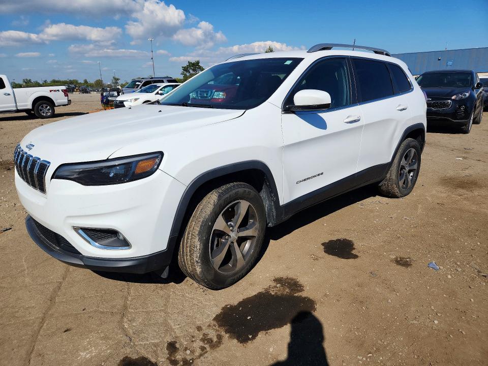 JEEP CHEROKEE 2019 with VIN 1C4PJMDN4KD209066 - Photo from auction
