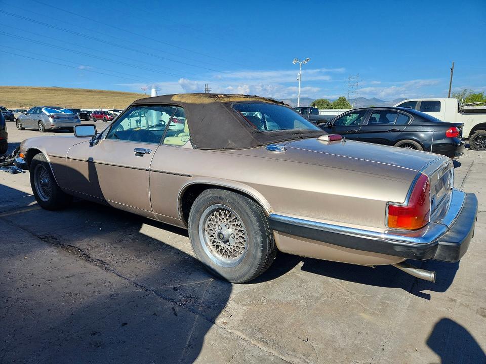 صورة رقم 2 من المزاد - 1991 JAGUAR XJS مع VIN SAJTW4844MC177151