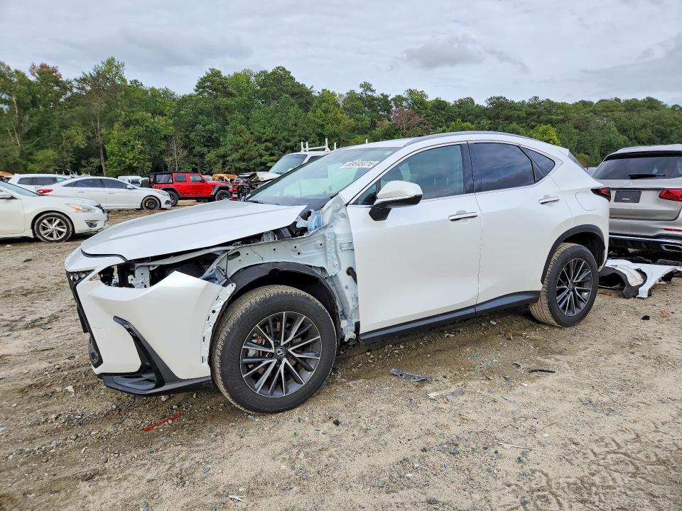 2024 LEXUS NX 350H - Търг №69695016