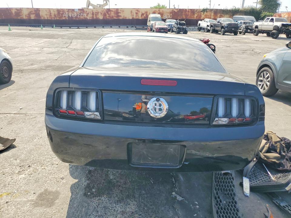 Photo 6 from auction – 2005 FORD MUSTANG with VIN 1ZVFT80N355188614
