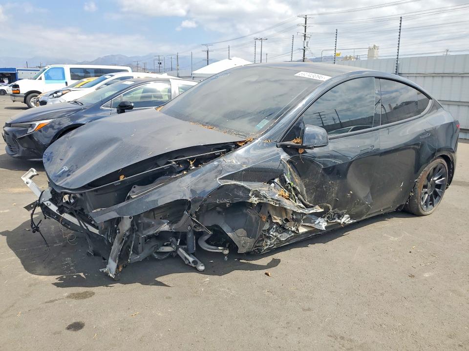Photo 1 from auction – 2025 TESLA MODEL Y with VIN 7SAYGDED7SF219854