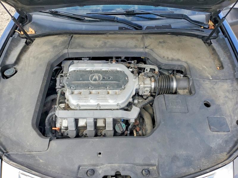 Photo 11 from auction – 2009 ACURA TL with VIN 19UUA96509A002703