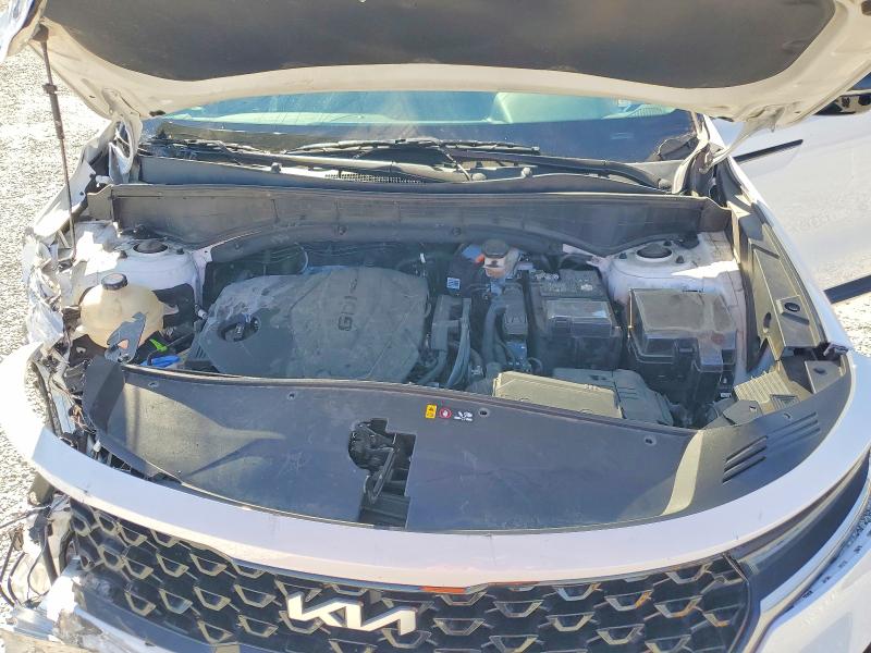 Photo 12 from auction – 2023 KIA SORENTO with VIN 5XYRL4LC1PG216469