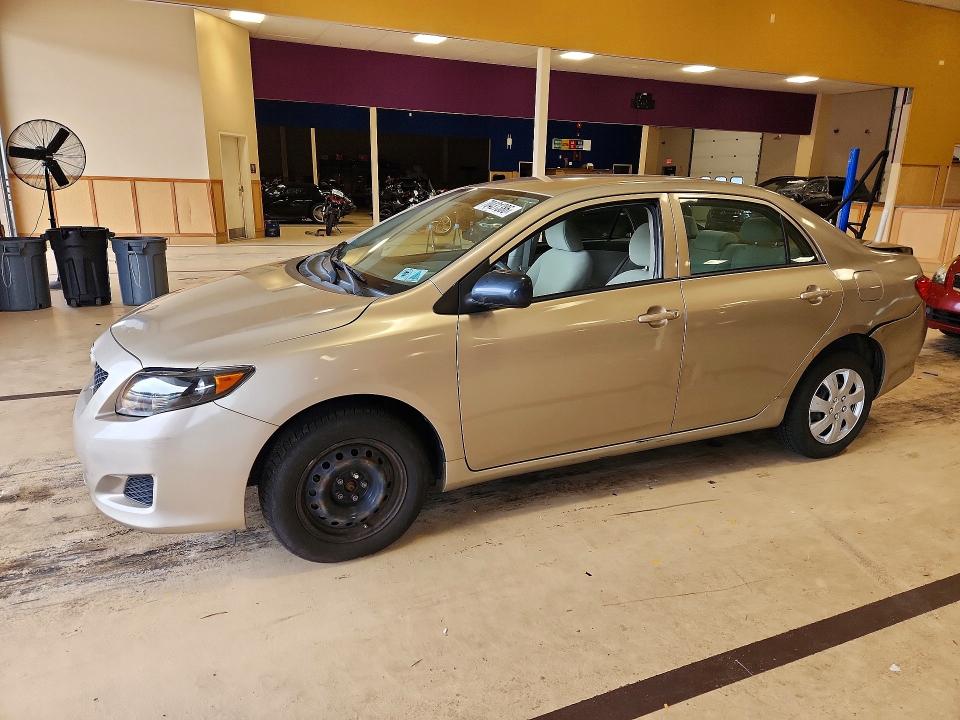 TOYOTA COROLLA 2010 with VIN 1NXBU4EE3AZ323666 - Photo from auction