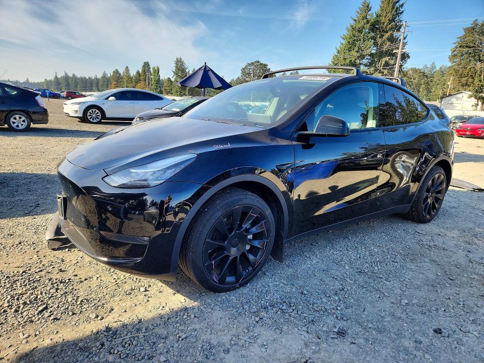 2020 TESLA MODEL Y - Търг №66835726
