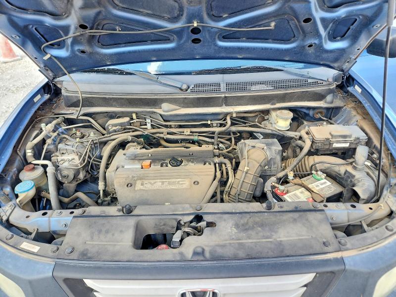 Photo 11 from auction – 2007 HONDA ELEMENT with VIN 5J6YH18347L009710