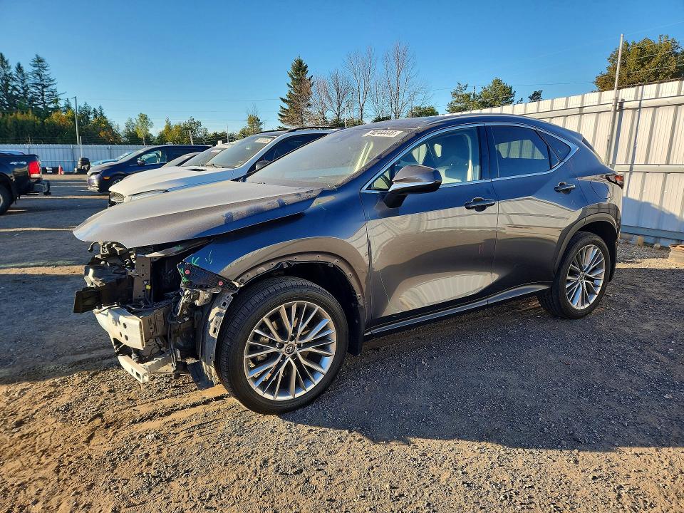 2022 LEXUS NX - Търг №70244446