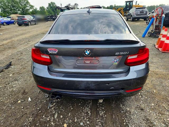 Photo 6 from auction – 2017 BMW 230XI with VIN WBA2H9C32HV642405
