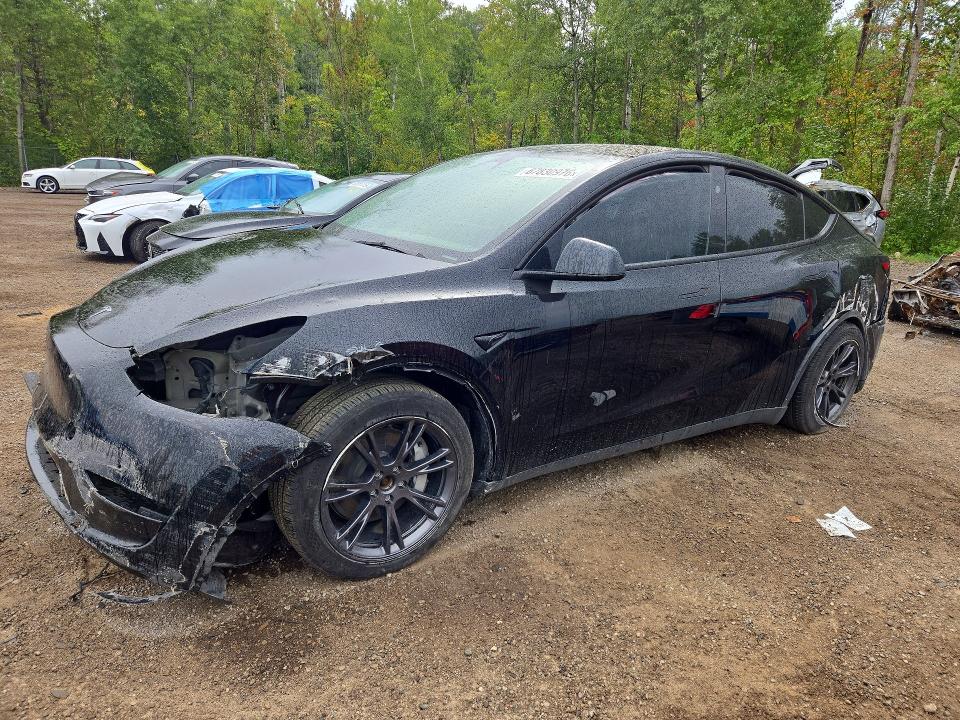 TESLA MODEL Y 2025 مع رقم تعريف المركبة 7SAYGDEE0SF294470 - صورة من المزاد