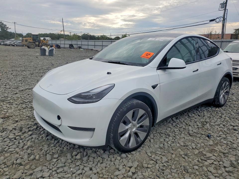 TESLA MODEL Y 2024 с VIN 7SAYGDEE7RA233348 - Снимка от търг