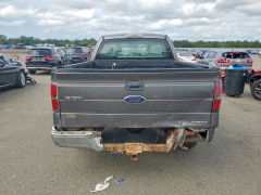 Photo 6 from auction – 2011 FORD F150 with VIN 1FTEX1EM9BFA76173