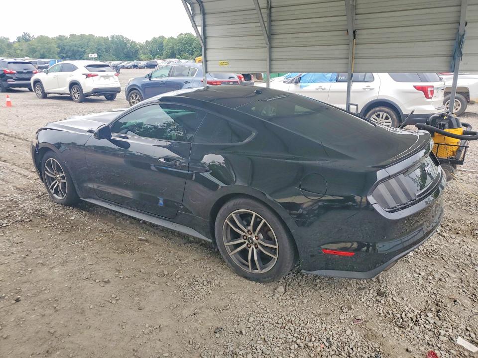 Фото 2 с аукциона – 2017 FORD MUSTANG с VIN 1FA6P8TH5H5316200