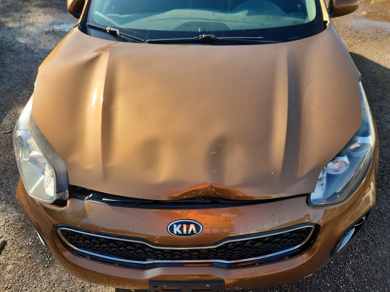 Photo 12 from auction – 2017 KIA SPORTAGE with VIN KNDPMCAC3H7125087