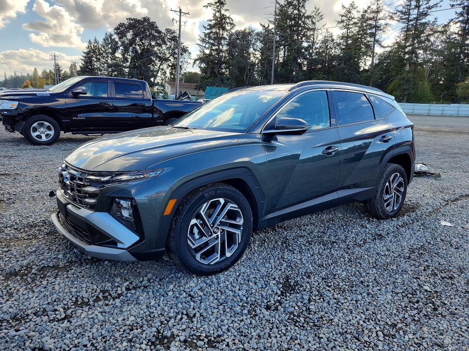 HYUNDAI TUCSON 2025 with VIN KM8JEDD17SU253582 - Photo from auction