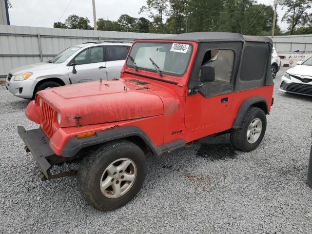 JEEP WRANGLER / 1995 with VIN 1J4FY19P2SP218860 - Photo from auction