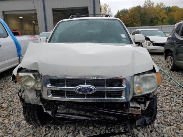 Photo 5 from auction – 2011 FORD ESCAPE LIM with VIN 1FMCU9EG5BKC66323