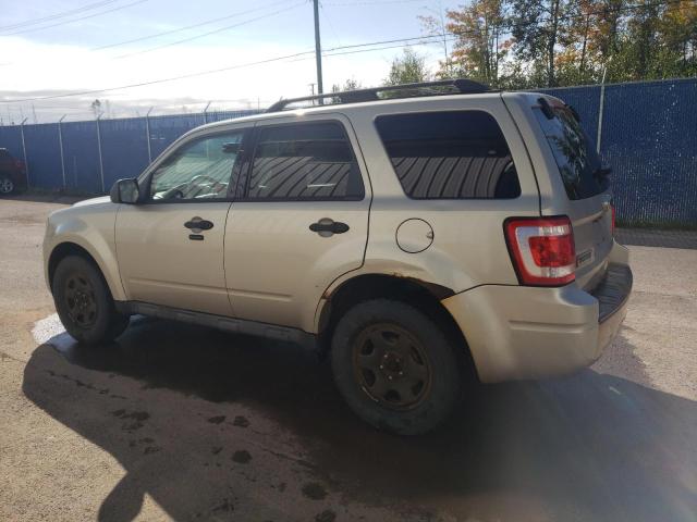 Photo 2 from auction – 2010 FORD ESCAPE XLT with VIN 1FMCU9D74AKA29029