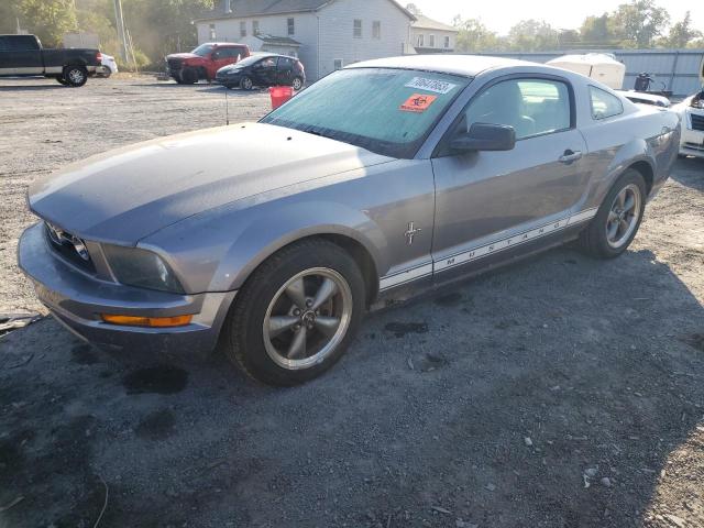 FORD MUSTANG 2006 with VIN 1ZVFT80N265173216 - Photo from auction
