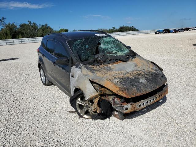 Photo 4 from auction – 2016 FORD ESCAPE SE with VIN 1FMCU0GX1GUA04593