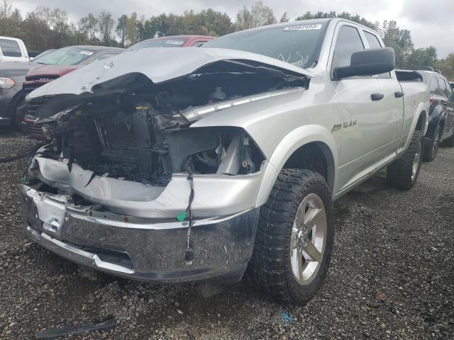 DODGE RAM 1500 2010 with VIN 1D7RV1GT6AS251194 - Photo from auction