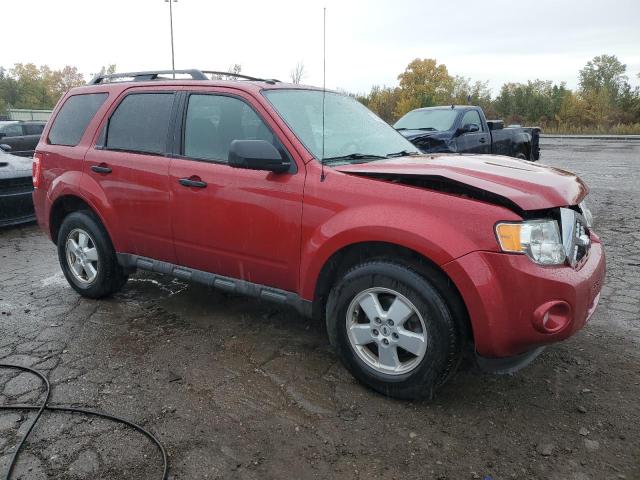 Photo 4 from auction – 2009 FORD ESCAPE XLT with VIN 1FMCU03G69KB02586