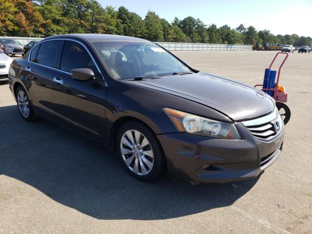 Photo 4 from auction – 2011 HONDA ACCORD EXL with VIN 1HGCP3F83BA005456
