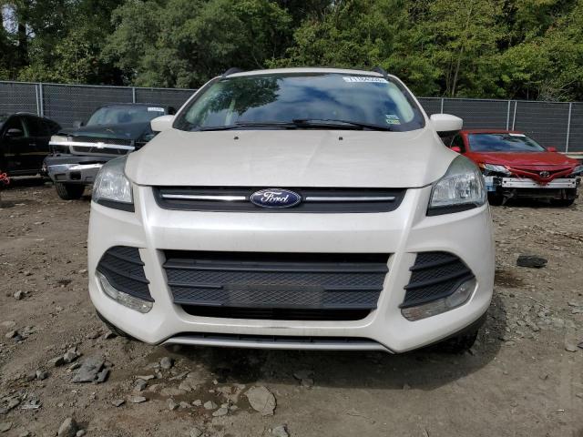 Photo 5 from auction – 2013 FORD ESCAPE SE with VIN 1FMCU9GX4DUD07948