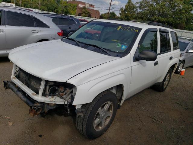 CHEVROLET TRAILBLAZE 2006 with VIN 1GNDT13S562118335 - Photo from auction