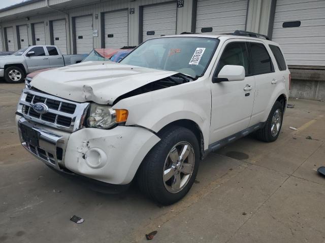 FORD ESCAPE LIM 2010 with VIN 1FMCU0EG8AKB08231 - Photo from auction