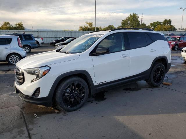 GMC TERRAIN SL 2020 with VIN 3GKALTEV8LL227062 - Photo from auction