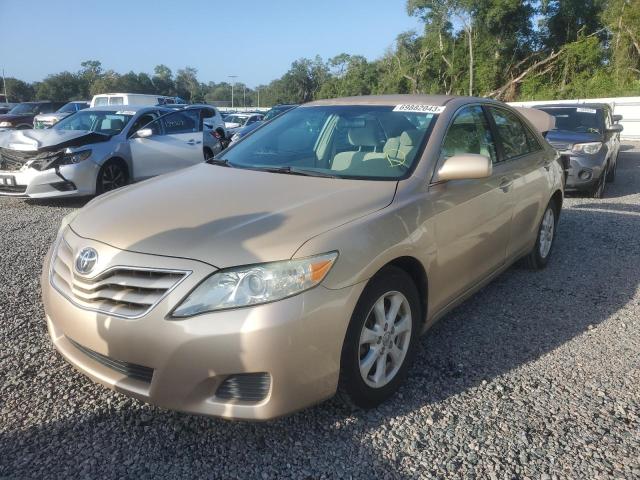 TOYOTA CAMRY BASE 2010 with VIN 4T1BF3EK0AU096916 - Photo from auction