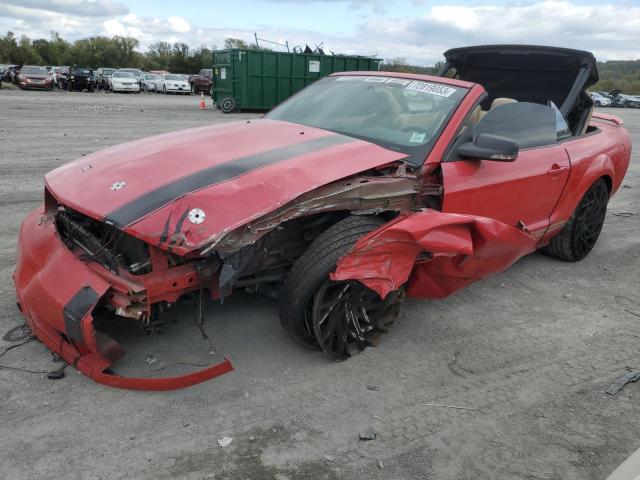 FORD MUSTANG 2005 with VIN 1ZVFT84NX55208433 - Photo from auction