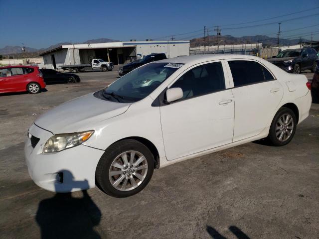 TOYOTA COROLLA BA 2010 with VIN 2T1BU4EE8AC383394 - Photo from auction