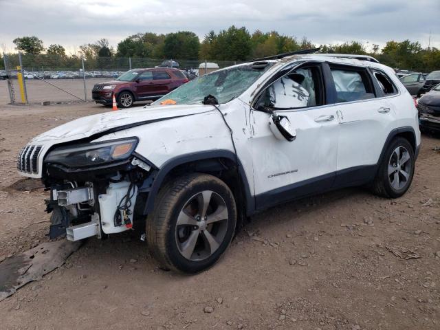 JEEP CHEROKEE L 2019 with VIN 1C4PJMDX5KD451396 - Photo from auction