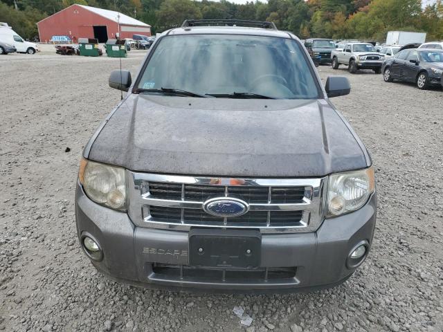 Photo 5 from auction – 2009 FORD ESCAPE XLT with VIN 1FMCU93G79KA80084
