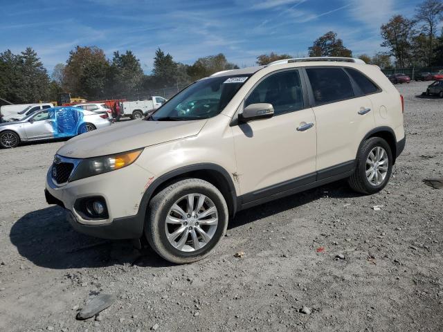 KIA SORENTO EX 2011 with VIN 5XYKU4A13BG025936 - Photo from auction