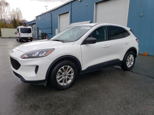 FORD ESCAPE SE 2022 with VIN 1FMCU9G66NUB40226 - Photo from auction