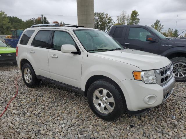 صورة رقم 4 من المزاد - 2011 FORD ESCAPE LIM مع VIN 1FMCU0EG4BKB58805