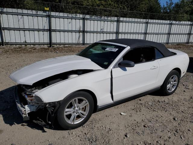 FORD MUSTANG 2011 with VIN 1ZVBP8EM0B5141202 - Photo from auction