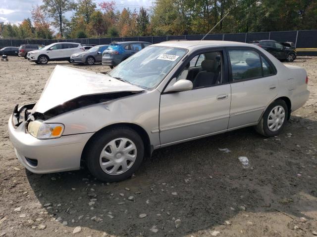 TOYOTA COROLLA CE 2001 with VIN 2T1BR12E31C509438 - Photo from auction