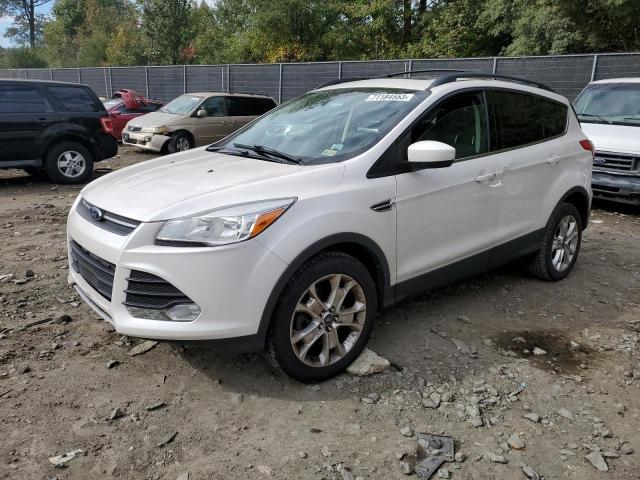 FORD ESCAPE SE 2013 with VIN 1FMCU9GX4DUD07948 - Photo from auction