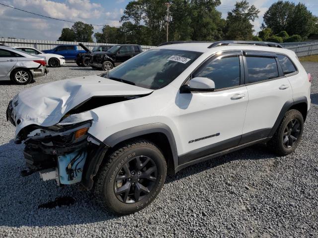 JEEP CHEROKEE L 2019 with VIN 1C4PJMCX8KD441060 - Photo from auction