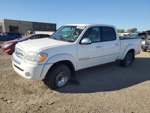TOYOTA TUNDRA DOU 2005 with VIN 5TBDT44155S497367 - Photo from auction