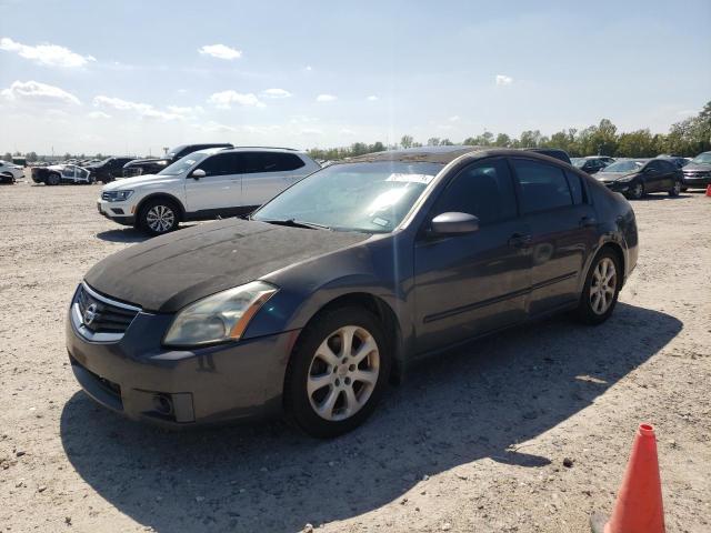 NISSAN MAXIMA SE 2007 with VIN 1N4BA41E07C808189 - Photo from auction