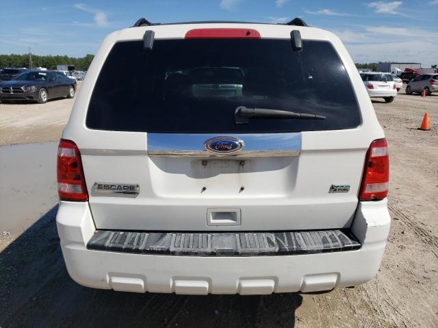 Photo 6 from auction – 2010 FORD ESCAPE LIM with VIN 1FMCU0EG1AKC43910