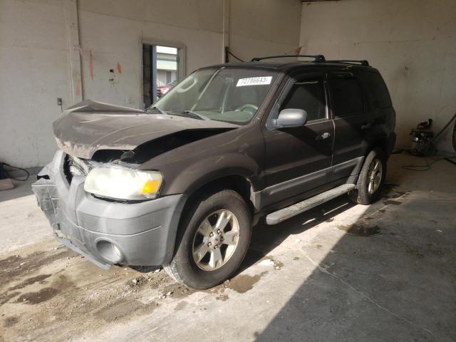 FORD ESCAPE XLT 2007 with VIN 1FMYU93147KA11304 - Photo from auction