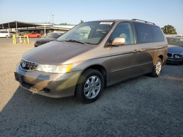 HONDA ODYSSEY EX 2004 with VIN 5FNRL189X4B029701 - Photo from auction