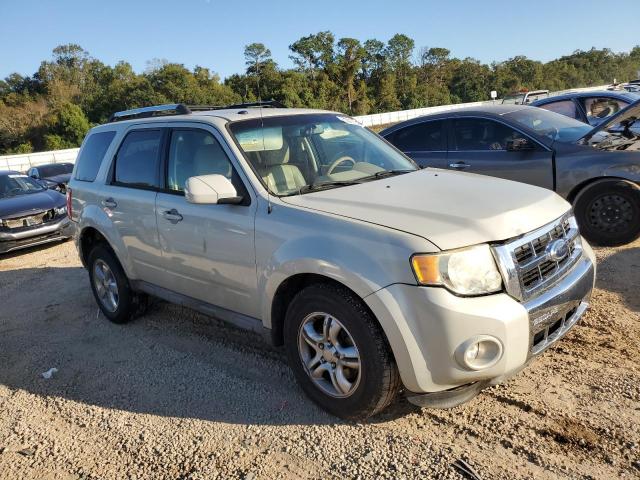 Photo 4 from auction – 2009 FORD ESCAPE LIM with VIN 1FMCU04G19KA20716