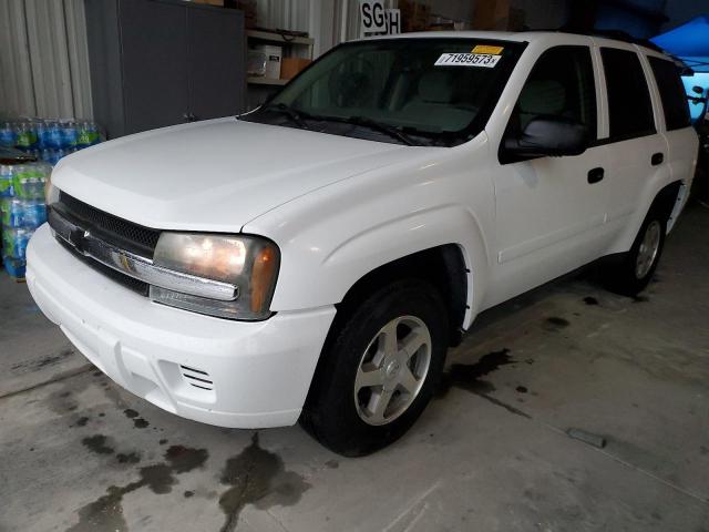 CHEVROLET TRAILBLAZE 2006 with VIN 1GNDS13S262289532 - Photo from auction